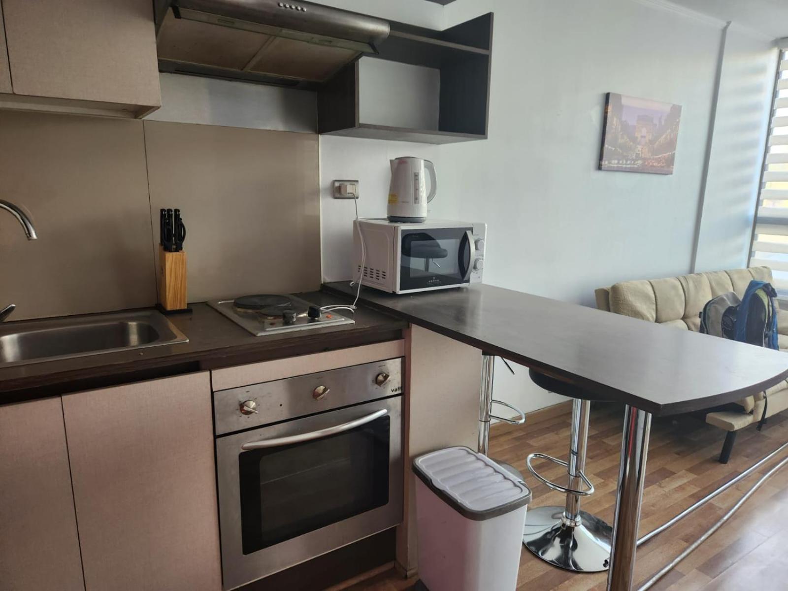 Departamento Paseo Bulnes Metro La Moneda Διαμέρισμα Σαντιάγκο Εξωτερικό φωτογραφία